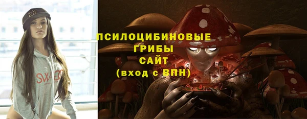 СК Ельня