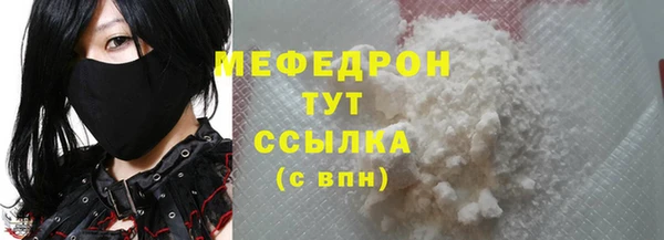 СК Ельня