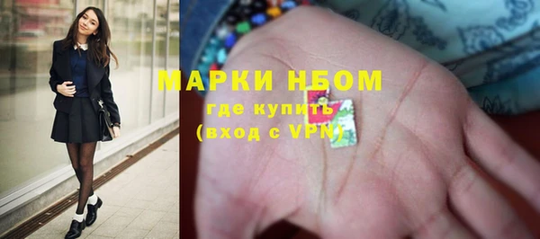 СК Ельня