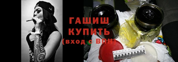 СК Ельня