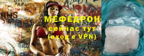 СК Ельня