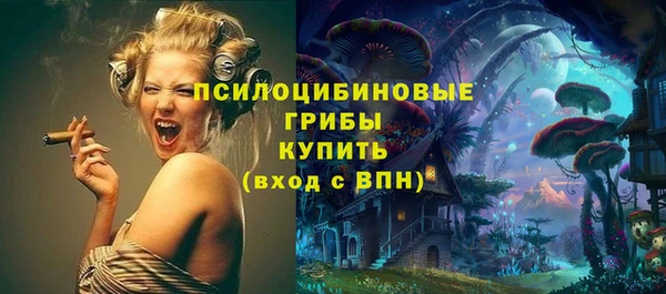 первитин Елабуга