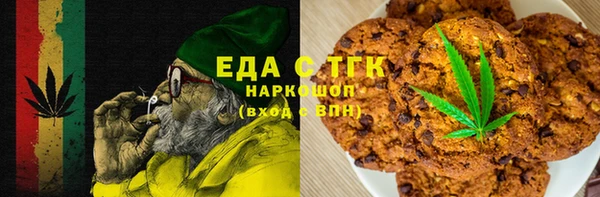 СК Ельня