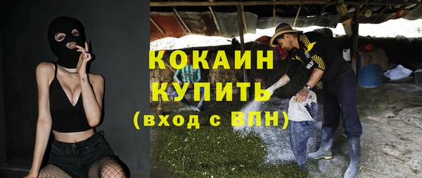 СК Ельня