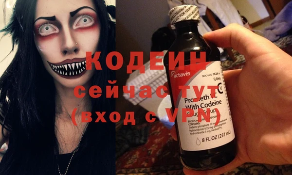 СК Ельня
