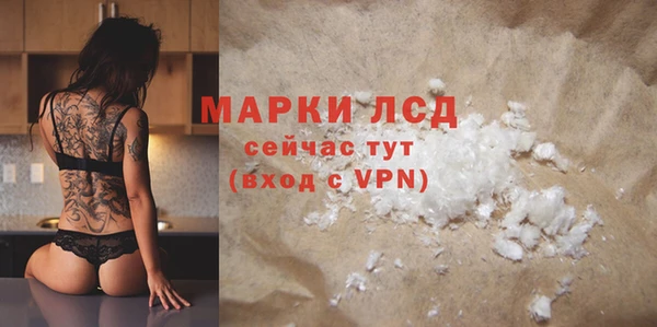 СК Ельня