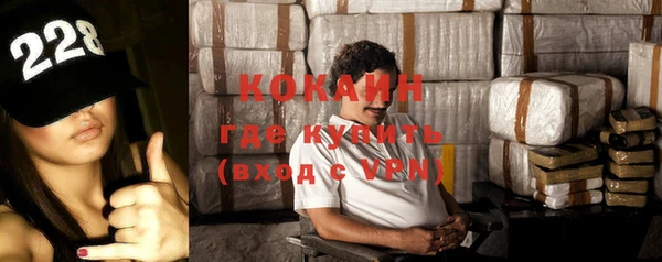 СК Ельня