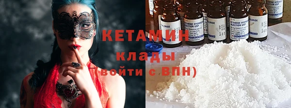 СК Ельня