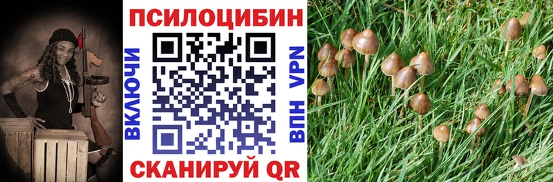 Купить  Карабаново  Псилоцибиновые грибы мицелий 